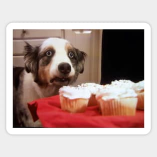 Cupcake Dog Sticker